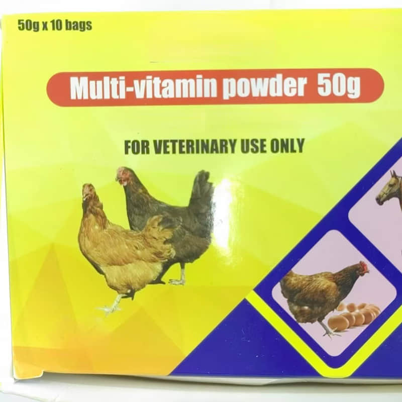 Multi-Vitamin Powder 