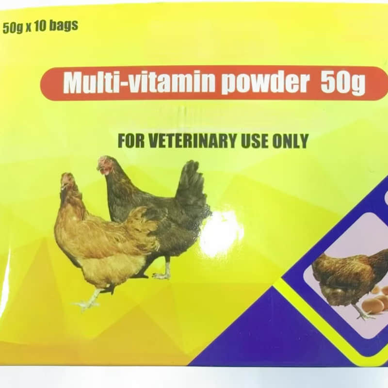 Multi-Vitamin Powder 
