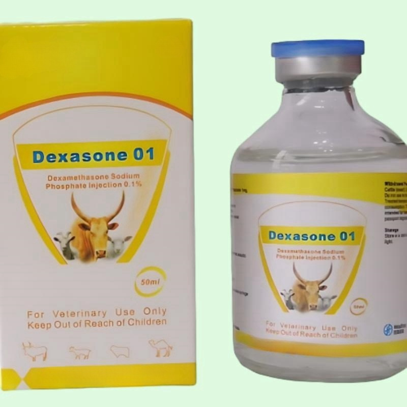Dexa Sodium Phosphate Injection