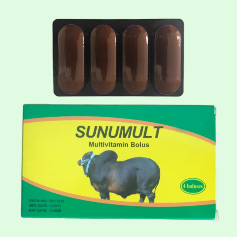  Multivitamin Bolus